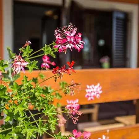 Mit Privatpool Fuer 6 Personen Ca 90 Qm In Pula, Istrien Istrische Riviera Holiday home Pula